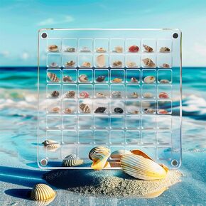 Acrylic Magnetic Seashell Display Box: Small Clear Shadow Boxes Display Case, Sea Shell Storage Display Container for Tiny Shells Seaglass Diamonds Trinket Rocks Collection (Square - 2pcs)