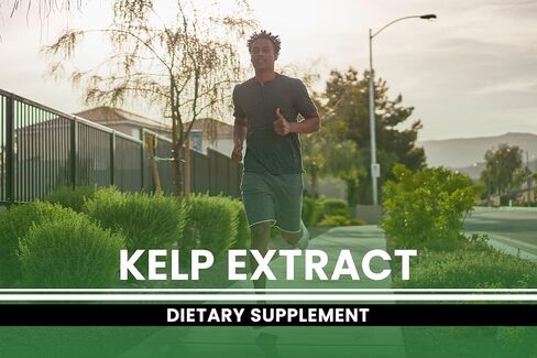 Pure Original Ingredients Kelp Extract (365 Capsules) No Magnesium Or Rice Fillers, Always Pure, Lab Verified in Saudi Arabia