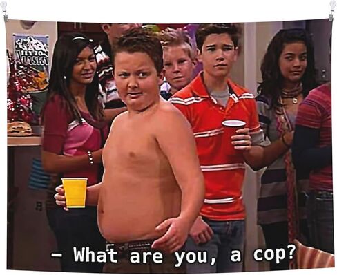 HYYCCUE Gibby Requires Coochie Small Tapestry For Bedroom College Dorm Home Decor Wall Hanging Meme Funny Tapestry 29"X37" in Saudi Arabia