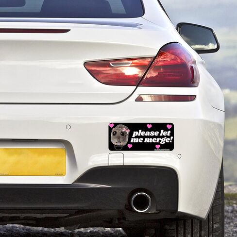 Sad Hamster Bumper Sticker Decal - 5Pcs Waterproof Funny Meme Warning Bumper Bejeweled Sticker， Self Adhesive Big Eyes Die-Cut Decals Removable Sign Stickers for Car Truck Lorry in Saudi Arabia