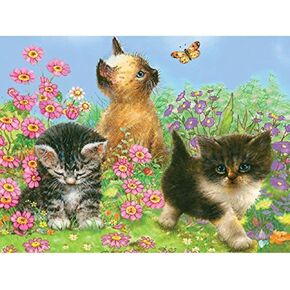 Royal Brush Color Pencil by Number Kit, 8.75 by 11.75-Inch, Kittens