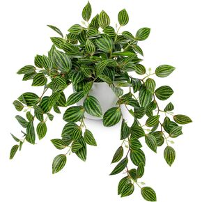 Briful Fake Plants Indoor Artificial Potted Silk Plants Faux Watermelon Peperomia Trailing Vine Plant for Home Office Livingroom Desk Shelf Mantle Decoration(Green/White - 1 Pack)