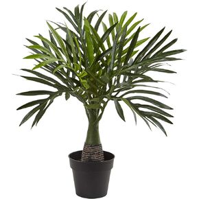 Nearly Natural 15.5in. Mini Areca Palm Artificial Plant