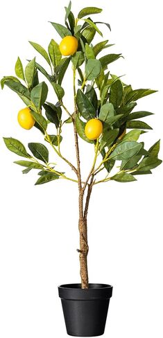 Vickerman Everyday 28" Artificial Potted Lemon Tree - Lifelike Home Or Office Decor - Premium Faux Potted Tree with Real Touch Leaves - Maintenance Free in Saudi Arabia