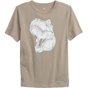 GAP Boys' Graphic Short Sleeve Tee T-Shirt