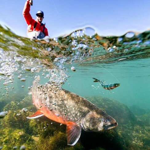 طُعم صيد متعدد المفاصل لباس وسمك السلمون المرقط نابض بالحياة، طعوم سباحة بطيئة الغرق، مجموعة سباحة بيونيك للمياه العذبة والمياه المالحة in Kuwait