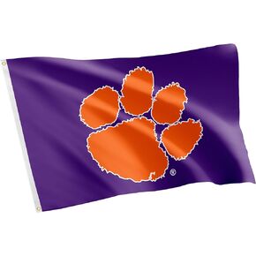 Desert Cactus Clemson University Flag Tigers Flag Banners 100% Polyester Indoor Outdoor 3x5 feet Flags (Style D)