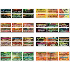 Carson Dellosa Mark Twain 48 Life Science Testing Words Bulletin Board Set (410077) in Saudi Arabia
