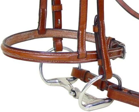 Everyday Raised Fancy Stitched Leather English Schooling Bridle with Laced Reins in Kuwait