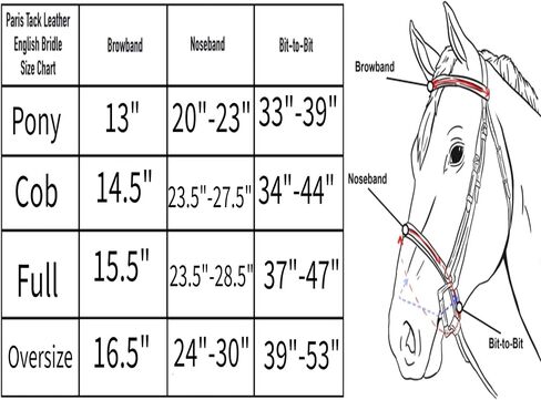Everyday Raised Fancy Stitched Leather English Schooling Bridle with Laced Reins in Kuwait