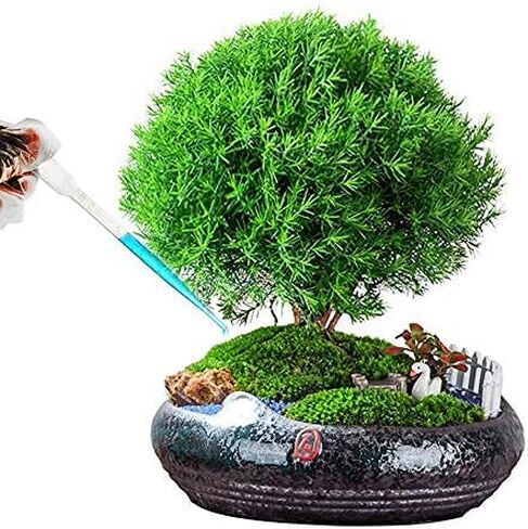 20 قطعة 3 مللي تخرج قطارة نقل بلاستيكية شفافة لنقل الزيوت العطرية العطور خلط دهانات الأكريليك والمختبر in Kuwait