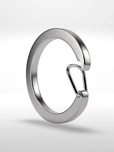 5PCS Key Ring Clips - Round Carabiner Clip, Zinc Alloy O Ring, Quick Release Keychain, Key Chain Hooks for Car Keys Purses Bags, 25mm, silver in Saudi Arabia