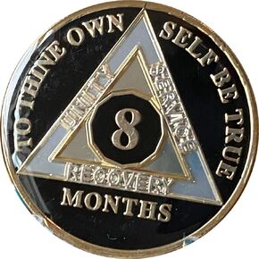 Ranger Industries 8 Month AA Medallion Glossy Classic Black Sobriety Chip