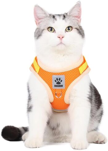 Dog Harness for Small Medium Dogs,No Pull Puppy Harness and Leash Set, Step in Vest Harness for Small Dogs,Adjustable Mesh Dog Harness Puppy Kittens (Orange, L) in Saudi Arabia