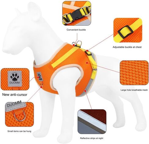 Dog Harness for Small Medium Dogs,No Pull Puppy Harness and Leash Set, Step in Vest Harness for Small Dogs,Adjustable Mesh Dog Harness Puppy Kittens (Orange, L) in Saudi Arabia