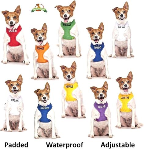 DEAF DOG White Color Coded 2 4 6 Foot Padded Dog Leash (No/Limited Hearing) PREVENTS Accidents By Warning Others of Your Dog in Advance (Standard Leash) in Saudi Arabia