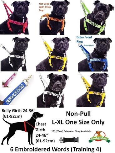 DEAF DOG White Color Coded 2 4 6 Foot Padded Dog Leash (No/Limited Hearing) PREVENTS Accidents By Warning Others of Your Dog in Advance (Standard Leash) in Saudi Arabia