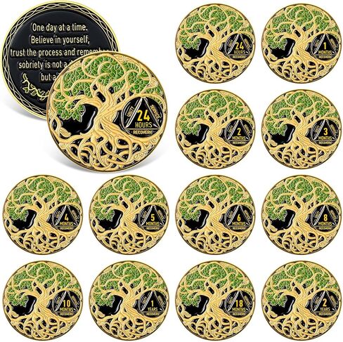 12 Pcs Sobriety Coin Sobriety Chip One Year AA Chips and Medallions Anniversary Sobriety Gifts for Men Women Alcoholics Anonymous Addiction Recovery Gift in Saudi Arabia