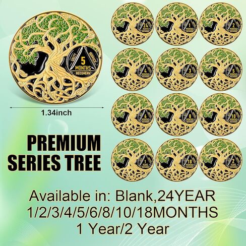 12 Pcs Sobriety Coin Sobriety Chip One Year AA Chips and Medallions Anniversary Sobriety Gifts for Men Women Alcoholics Anonymous Addiction Recovery Gift in Saudi Arabia