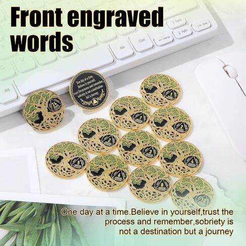 12 Pcs Sobriety Coin Sobriety Chip One Year AA Chips and Medallions Anniversary Sobriety Gifts for Men Women Alcoholics Anonymous Addiction Recovery Gift in Saudi Arabia
