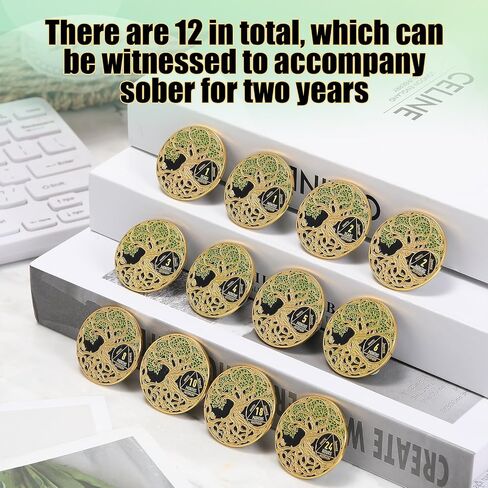 12 Pcs Sobriety Coin Sobriety Chip One Year AA Chips and Medallions Anniversary Sobriety Gifts for Men Women Alcoholics Anonymous Addiction Recovery Gift in Saudi Arabia