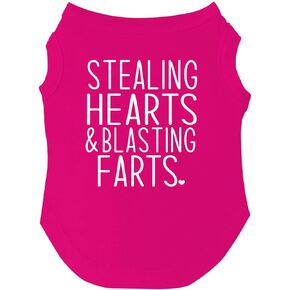 Stealing Hearts & Blasting Farts Valentine's Day Dog Tee Shirt Sizes for Puppies, Toys, and Large Breeds (Hot Pink, X-Small 983)