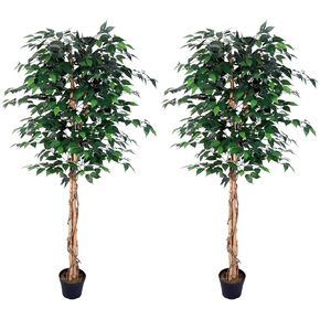 AMERIQUE AM0912FC6FTPK2 Gorgeous Ficus Trees Artificial Silk Plant, 6', Emerald Green