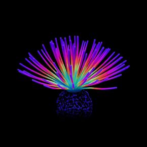 WishLotus Glowing Fish Tank Decor, Colourful Simulation Glowing Effect Sea Urchin Ball Fish Tank Ornament Artificial Silicone Coral Aquarium Glow Decorations for Aquarium Landscape Decor (S, Blue)