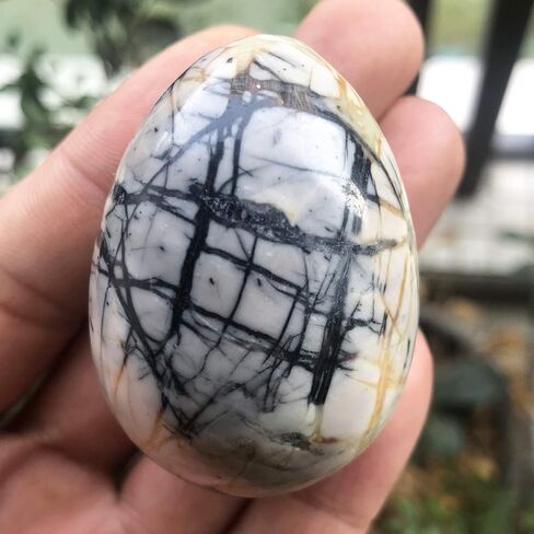 Stone Egg Figurine, Polished Healing Crystal Easter Eggs Sphere Sculpture with Wood Stand, Green Howlite Turquoise, 1.8" in Saudi Arabia
