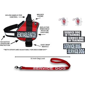 Doggie Stylz Official Service Dog in Training Vest Harness Bundle Kit. Includes Set of Service Dog + Service Dog in Training Removable Reflective Patches + 30 inch Lead + 2 ID Dog Tags