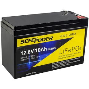 12V 10Ah LiFePO4 Lithium Deep Cycle Battery, 2000+ Cycles Rechargeable Battery for Solar/Wind Power, Lighting, Small UPS, Power Wheels, Scooters, Fish Finder and More with Built-in 10A BMS