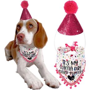 Dog Birthday Girl Outfit, Gotcha Day Dog Birthday Bandana and Dog Party Hat for Small Medium Large Dogs