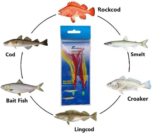 أدوات ريش سمك القد من سانهو، 3/0، أحمر/أصفر، 10 عبوات in Kuwait