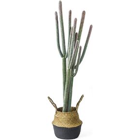 NCYP Fake Plants - 4ft (48 Inch) Tall Artificial Cactus in Plastic Planter with Seagrass Basket - Faux Cacti Potted for Home, Room, Office, Indoor Farmhouse Floor Decor - Small Saguaro, Gift