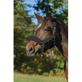 Shires ARMA SupaFleece Halter Set (Black, 6 Piece)