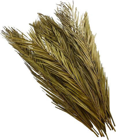 Deco 79 Dried Plant Palm Leaf Natural Foliage with Feather Inspired Stems, 4" x 1" x 43", Green in Saudi Arabia