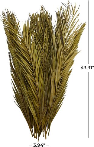Deco 79 Dried Plant Palm Leaf Natural Foliage with Feather Inspired Stems, 4" x 1" x 43", Green in Saudi Arabia