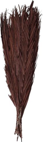Deco 79 Dried Plant Palm Leaf Natural Foliage with Feather Inspired Stems, 4" x 1" x 43", Green in Saudi Arabia