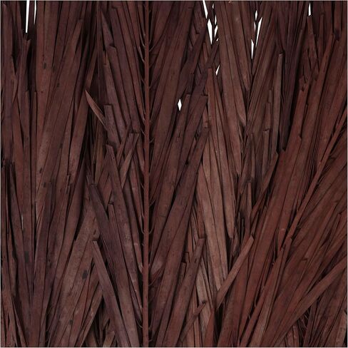 Deco 79 Dried Plant Palm Leaf Natural Foliage with Feather Inspired Stems, 4" x 1" x 43", Green in Saudi Arabia