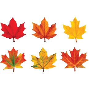 TREND ENTERPRISES, INC. - T-10958 TREND enterprises, Inc. Maple Leaves Classic Accents Variety Pack, 36 ct