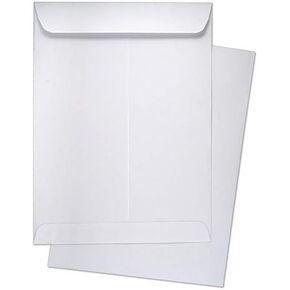 500 Cashier Depot 6 X 9 Catalog Envelopes (Open End), Sturdy 24lb. White Paper, Gum Flap, 500/Box