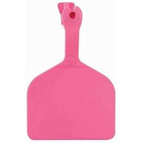 Z Tag Feedlot Blank Pink 50ct