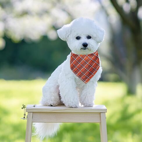 Cute Pet Pattern Brown Dog Bandanas, Comfortable Silky Cotton Triangle Bibs Scarfs for Dogs or Cats, Cute Pet Kerchief for Small Medium Large Dogs in Saudi Arabia
