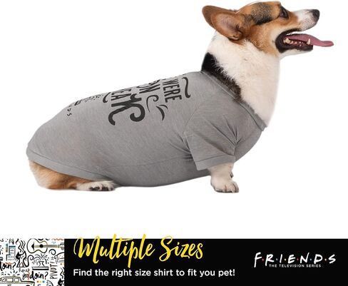 We were On A Break Dog T Shirt in Grey | Soft Dog Shirt, Machine Washable Pull-Over Dog Tshirt, Light Weight & Semi-Stretch | Size Medium for All Small to Medium Dogs in Saudi Arabia