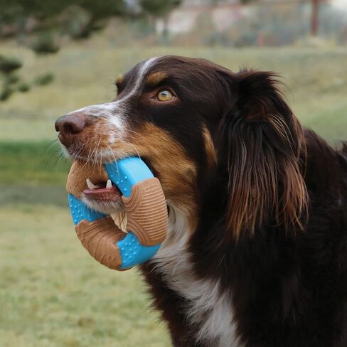 KONG CoreStrength Bamboo Bone - Dog Dental Chew Toy - Bamboo Dog Toy for Enrichment Play & Dental Care - with Raised Nubs & Texture for Teeth and Gum Cleaning - for Medium/Large Dogs in Saudi Arabia