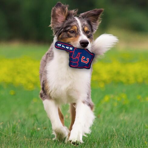 Pets First MLB Number ONE Fan Toy. Sports Dog Toy with Double Stitched Trim and Tough Nylon Material Filled with Chewable Polyfil and Inner Squeaker with Team Logo/Color in Saudi Arabia