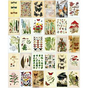 LCLAIDYDY Vintage Postcards for Mailing,Set of 30 Post Cards 4x6,Butterfly Mushroom Botanical Cottagecore Ephemera Postcard Pack for Wall Collage Collection