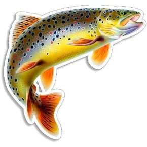 Trout Fish Sticker Vinyl Decal Car Window Bumper Waterproof 5"