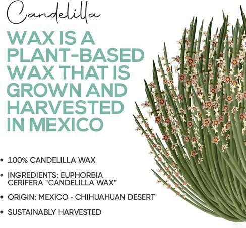 Candelilla Wax Pellets 3 lbs. Bulk Wholesale 100% Pure Natual Food Grade Vegan Wax For DYI Lip Balm, Soap and Candle Making, Creams and Lotions. Great For Skin, Face, and Hair. Beeswax Alternative in Saudi Arabia