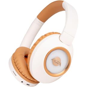 Bluetooth Headphones Over Ear, 20H Playtime Wireless Stereo Headphones with HD Microphone, FM/TF for Office Home, Foldable and Comfortable Fit Design NX500, Black